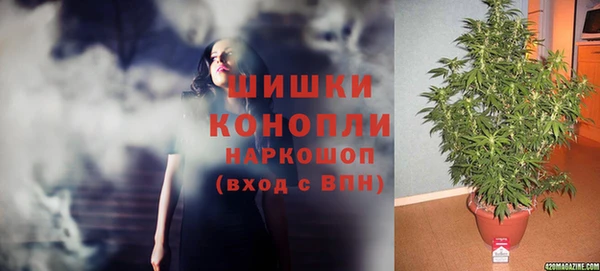 прущий лед Аркадак