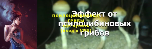 гидра Армянск