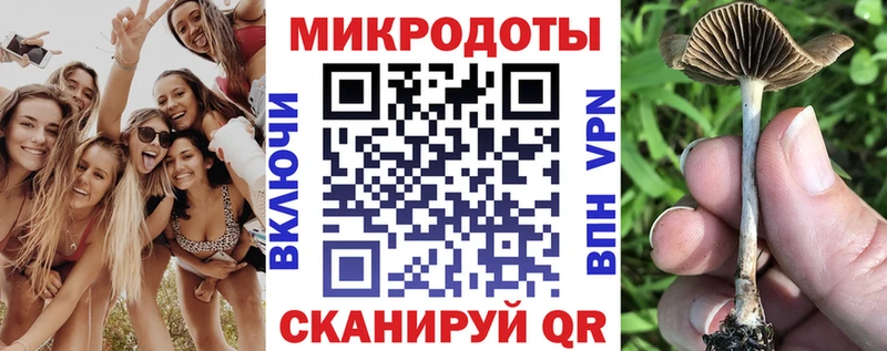 kraken зеркало  Урень  Галлюциногенные грибы ЛСД 